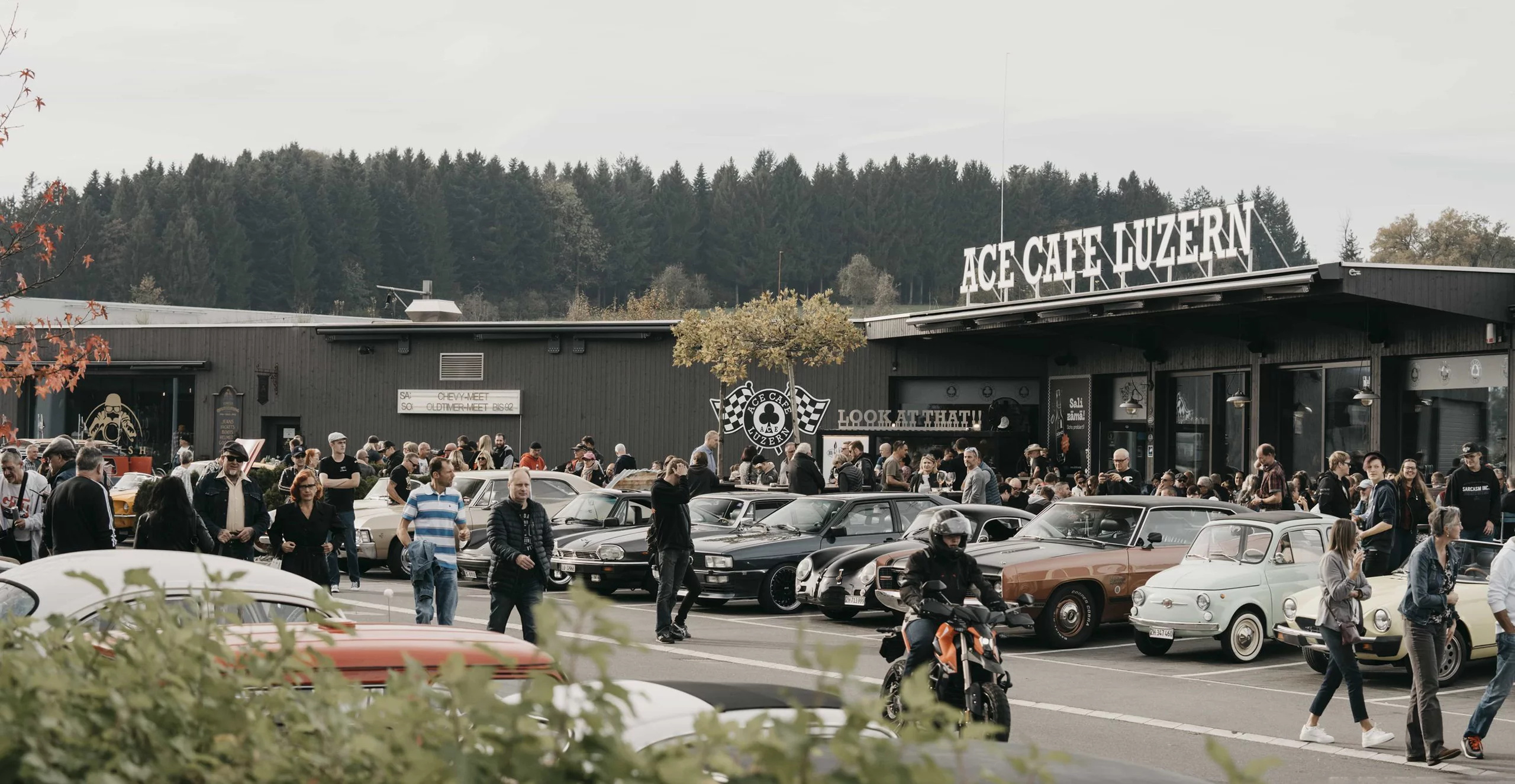 65d353c5cfed031a83a88355__DSC6373-min-p-2600